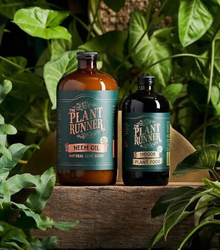 Mica Douro Pot – Image 2