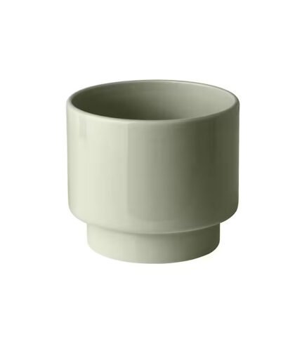 Drakfrukt – Image 3