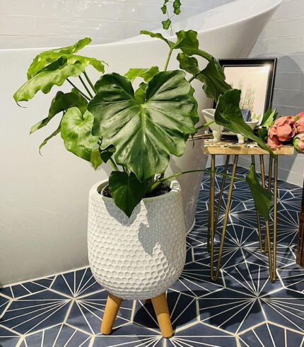 Mica Douro Pot – Image 3